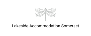 Dragonfly Stays logo